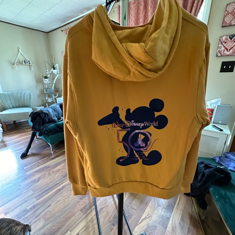 Disney 50th hoodie